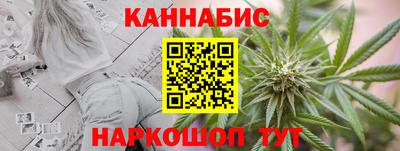 стаф Гатчина