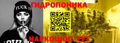стаф Гатчина