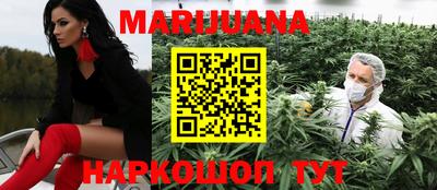 стаф Гатчина