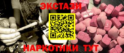 стаф Гатчина