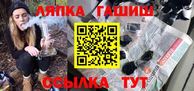 стаф Гатчина