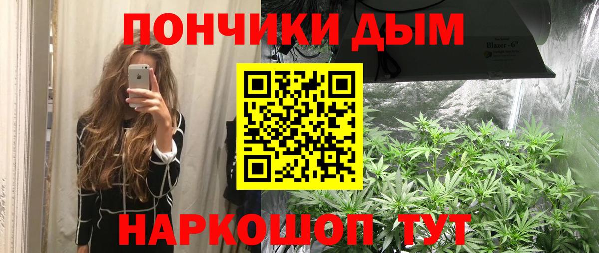 Бошки марихуана LSD WEED  Вход с VPN  Каннабис семена  Шишки марихуана SATIVA & INDICA  Бердск 